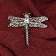 Crystal Stone Dragonfly Brooch